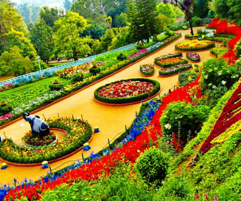 Ponnus Tours Travels