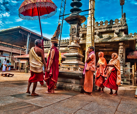 Ponnus Tours Travels