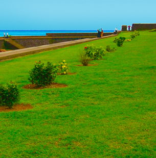 Ponnus Tours Travels